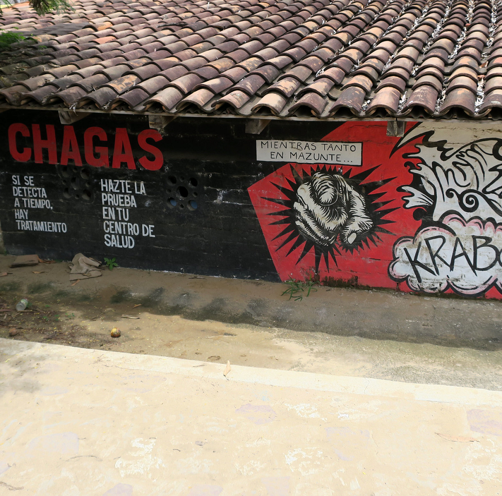 A wall with a Chagas Disease painting.