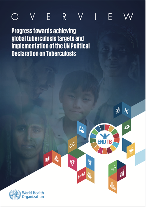 UN SG Report: Progress towards achieving global tuberculosis targets and implementation of the UN Political Declaration on Tuberculosis