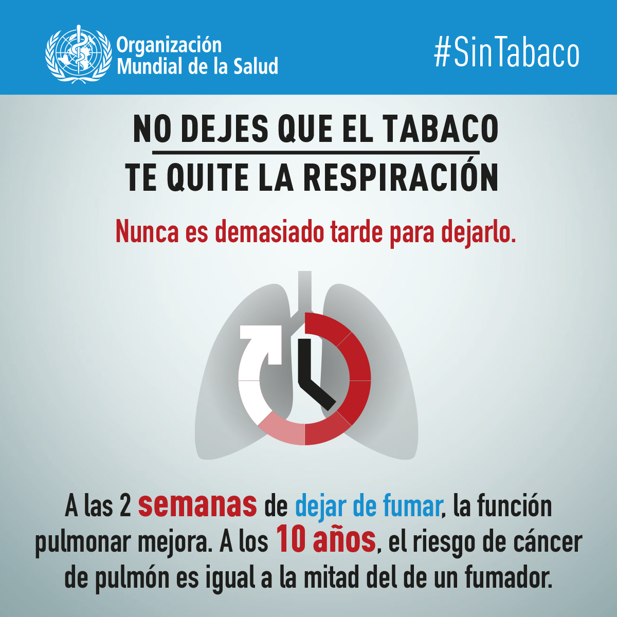 6188_WHO_WNTD19_INFOGRAPHICS_EN_6